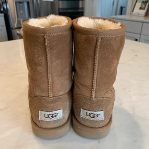 Classic Chestnut Ugg Boots